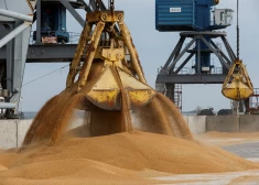 Latvija ar 50 000 eiro atbalstīs Ukrainas graudu piegādes Āfrikas valstīm
