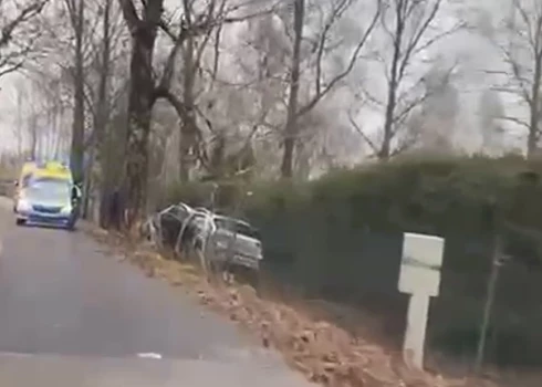 VIDEO: Olaines pusē ar "CityBee" koplietošanas automašīnu taranēts koks