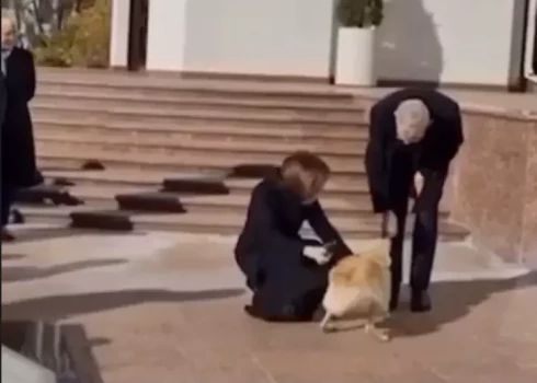 ВИДЕО: собака президента Молдовы перепугалась и укусила президента Австрии
