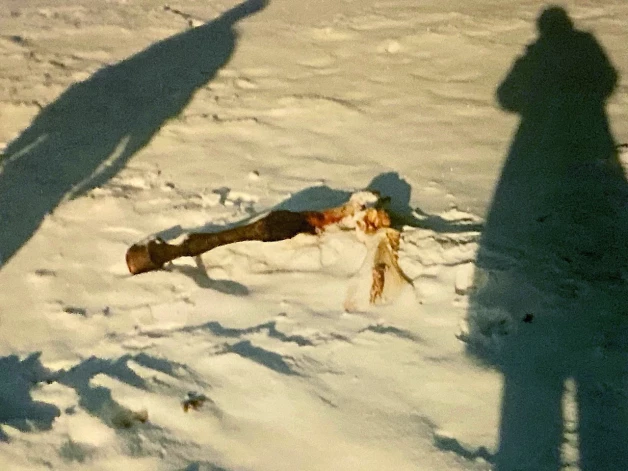 No sniega kupenām rēgojās zirgu skeleti.