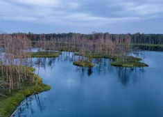 Latvijā papildināsies dabas liegumu klāsts