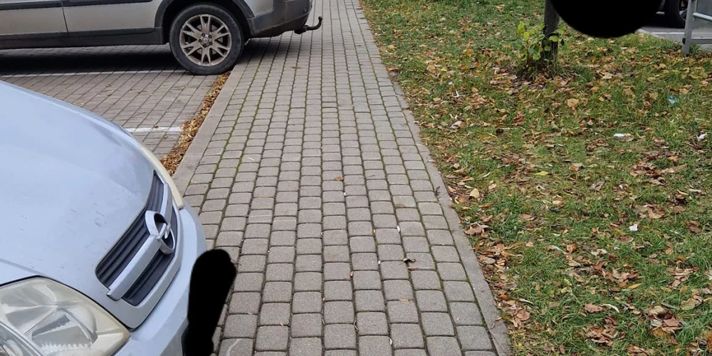 Оправданы ли действия автоводителей?