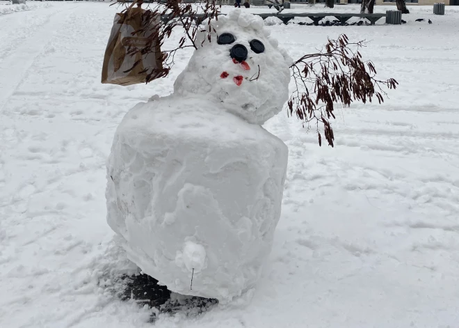 Снег в Риге в ноябре 2023 года.