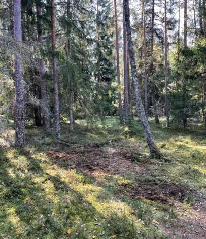 Mežu piesārņotāji Ziemeļkurzemē ne tikai samaksāja naudas sodu, bet arī satīrīja piecūkoto vidi.