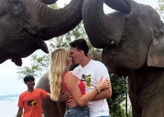 Katrīne un Pēteris Vasiļevski medusmēnesī Taizemē bučojas zem ziloņu snuķiem