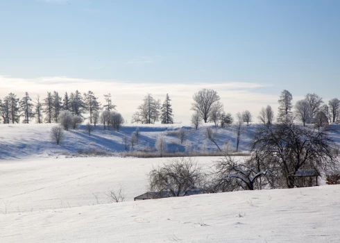 -14! В двух городах Латвии побит рекорд холода для 26 ноября