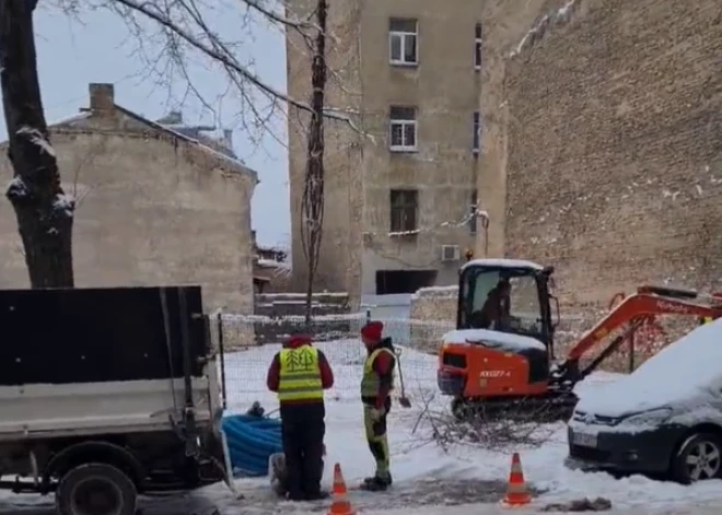 В соцсетях наделало шуму видео, на котором работники в Риге сажают деревья, а вокруг снег. Но эксперт уверяет - так можно!