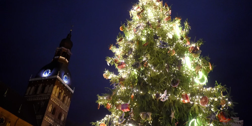 В воскресенье будут зажжены главные рождественские елки Риги: план мероприятий