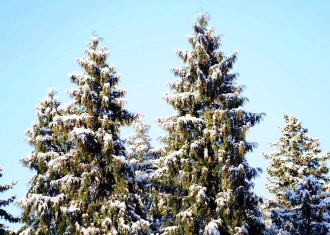 Trešdien spīdēs saule, pēcpusdienā Latgalē un Sēlijā sāks snigt