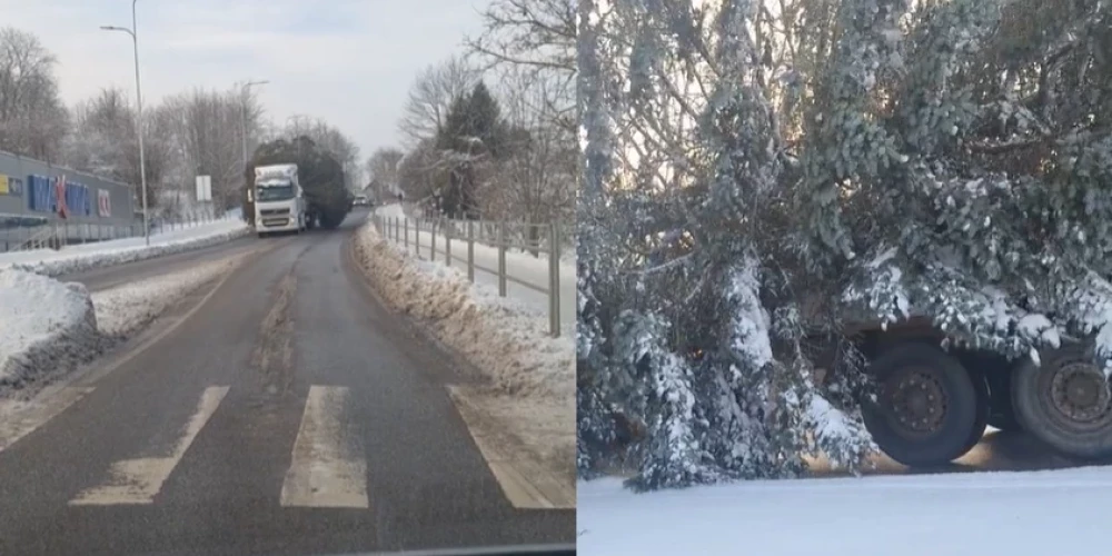Такие чудеса можно встретить на дорогах Латвии...