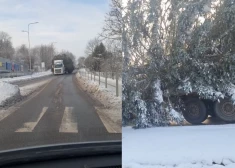 Такие чудеса можно встретить на дорогах Латвии...