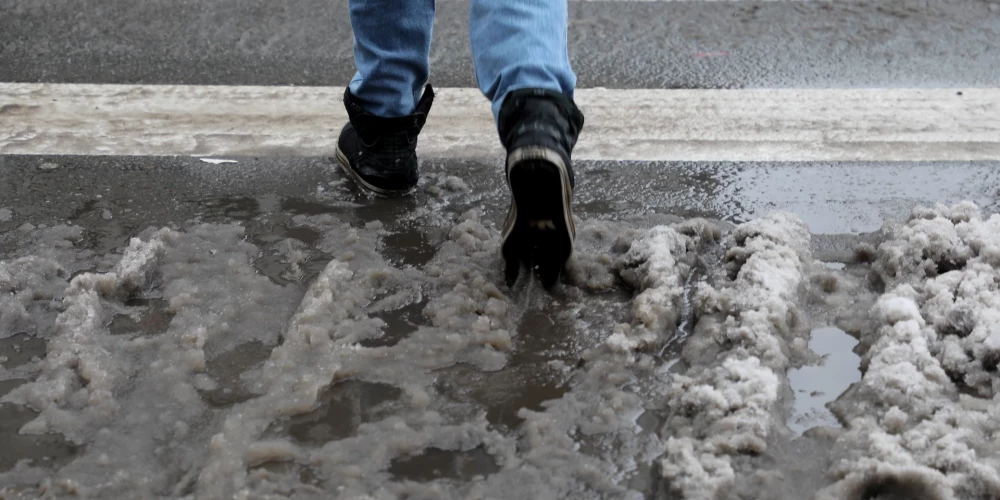 Иллюстративное фото