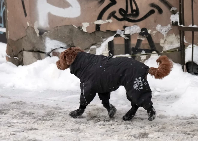 Naktī dažviet Vidzemē gaisa temperatūra noslīdēs līdz -14 grādiem