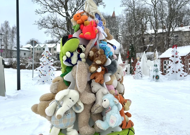 Talsos tapis unikāls iedzīvotāju radīts Ziemassvētku eglīšu parks