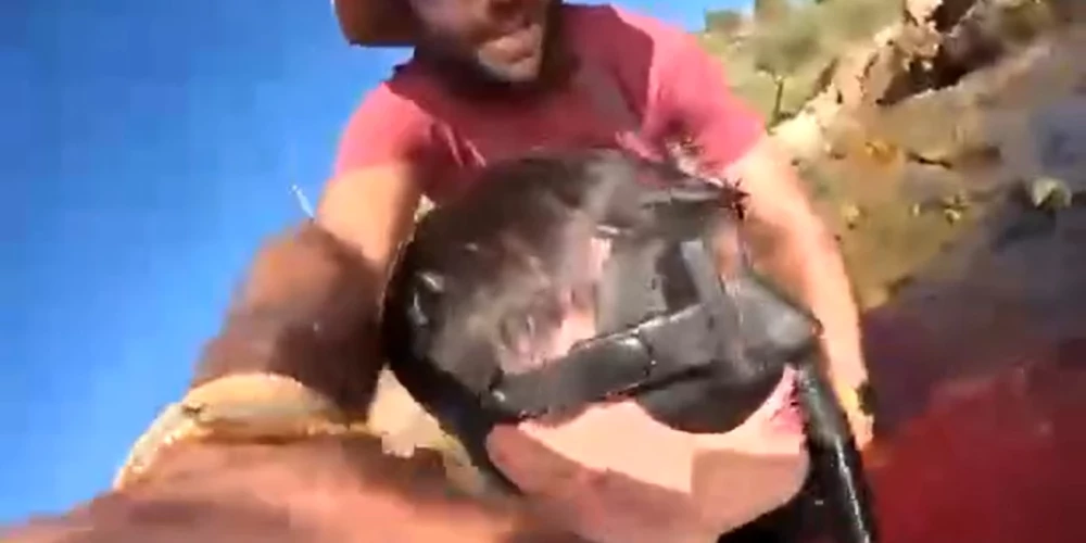 Mateo Marioti izglābj peldēšanas instruktors.