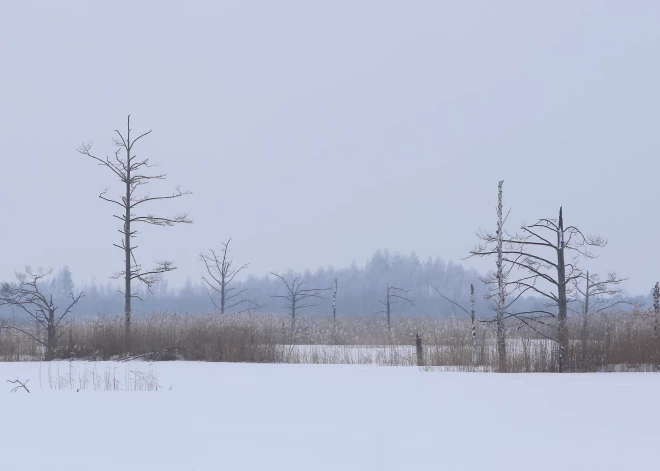 Ķemeru Nacionālais parks atkārtoti atzīts par ilgtspējīga tūrisma galamērķi Eiropā