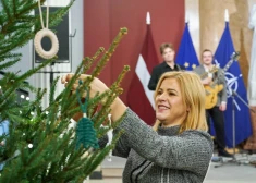 ФОТО: в праздничном настроении министры зажигают свою рождественскую елочку