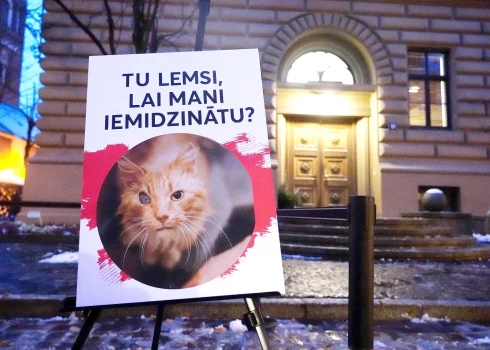 FOTO: pie Saeimas piketē pret bezatbildīgu mājas dzīvnieku pavairošanu