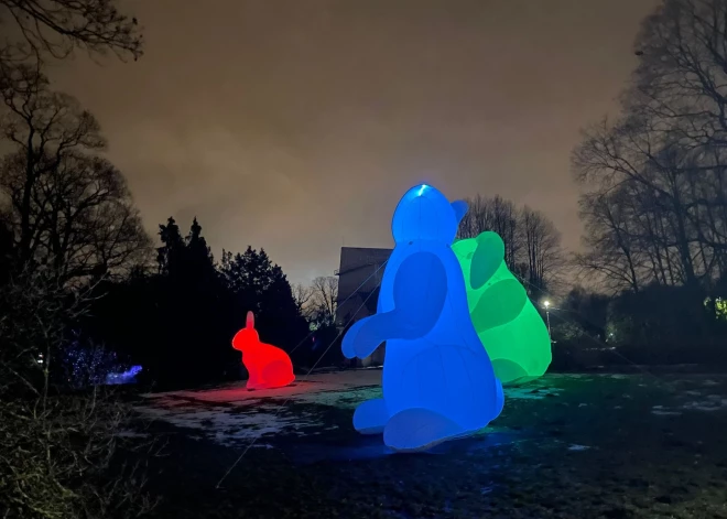 LU Botāniskajā dārzā sācies gaismas festivāls “Ziemas nedarbi”, kurā apskatāmas vairāk nekā 15 dažādas gaismu instalācijas.