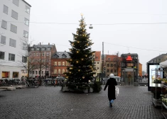 Beļģijā mirusi sieviete, kurai uzkritusi Ziemassvētku egle
