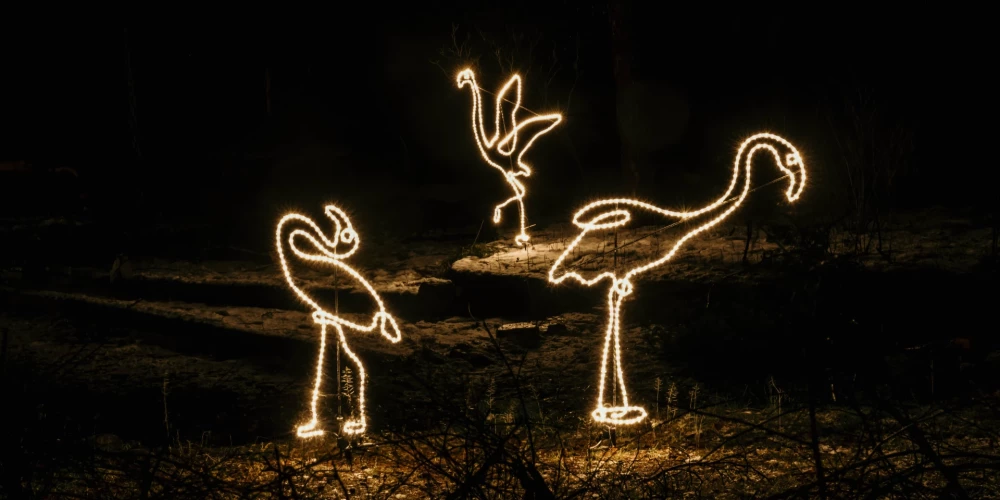 Rīgas Nacionālajā zooloģiskajā dārzā baudi Ziemas naktis
