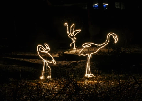 Rīgas Nacionālajā zooloģiskajā dārzā baudi Ziemas naktis