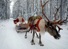 Ziemeļbriežu pajūgā Ziemassvētku vecītis devies garajā ceļā