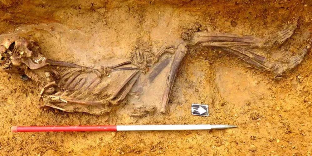 Anglijā atrasts senlaiku migranta skelets