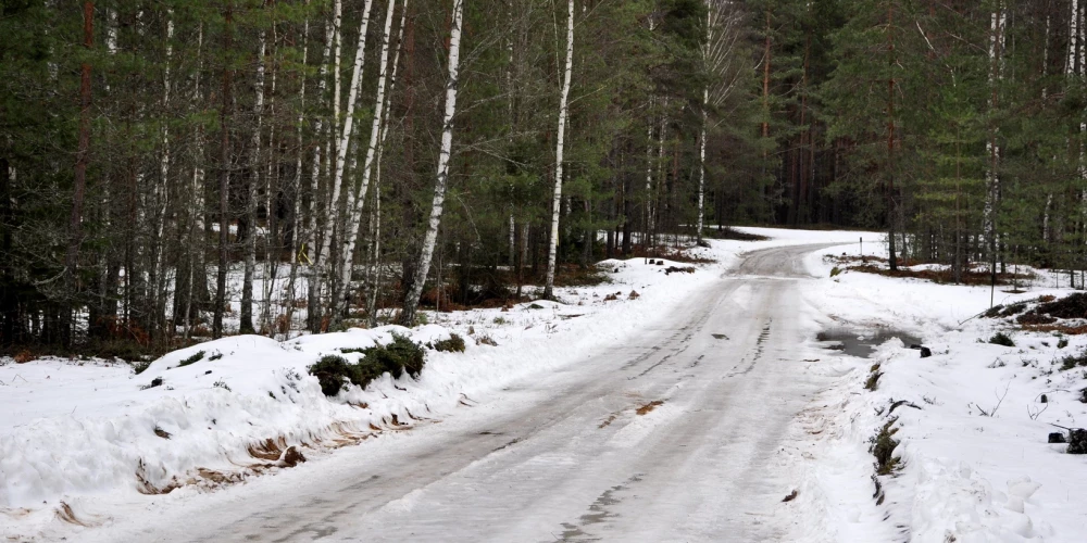 Иллюстративное фото