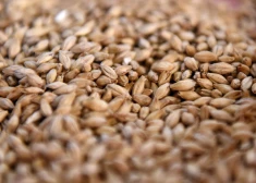 Импорт продовольственного зерна из России в Латвию в прошлом году увеличился на 200 000 тонн