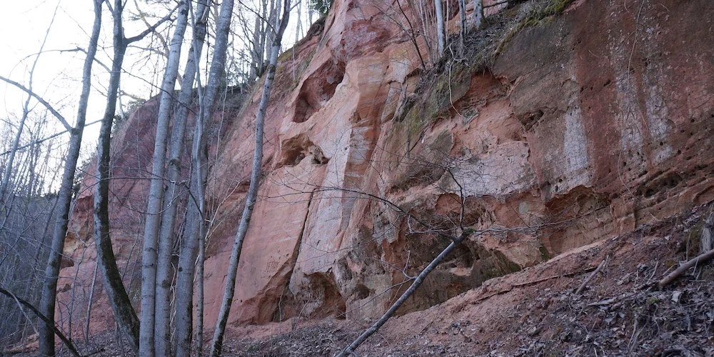 Klinšu augstākā daļa ir paslēpusies tālāk no Gaujas un labi apskatāma tikai no vēla rudens līdz agram pavasarim, kad to neaizsedz koku lapotne.