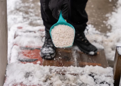 "Нужно просто убирать снег": стоит ли использовать соль для борьбы с сугробами?