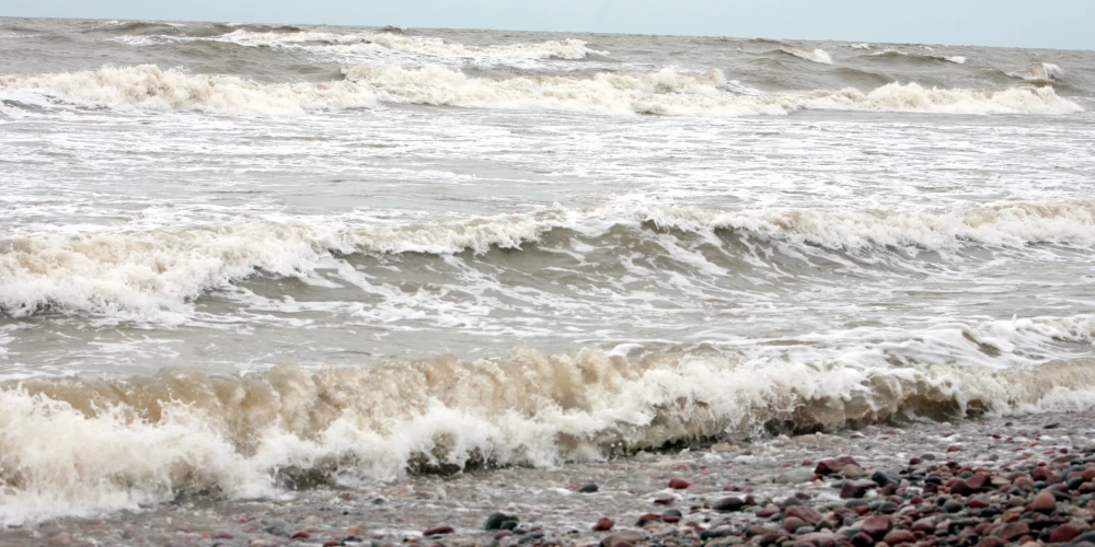 Балтийское море стало более соленым - в последний раз такое происходило 10 лет назад