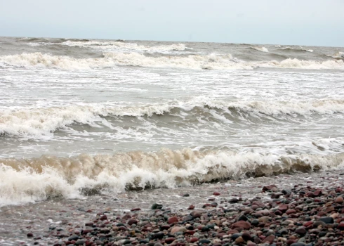 Балтийское море стало более соленым - в последний раз такое происходило 10 лет назад