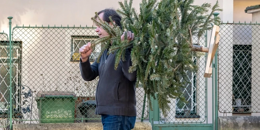 Елочка, которая согревала сердце, теперь может быть преобразована в тепловую энергию.