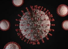 Ученые создали новый штамм коронавируса. Его смертность - 100%