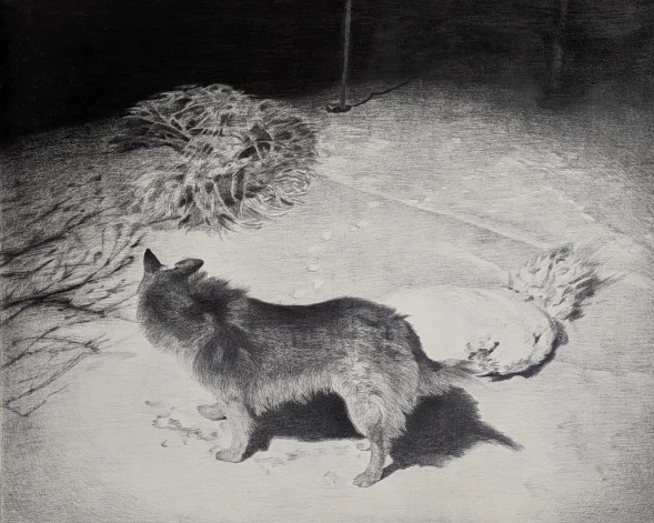 Luīzes Rukšānes personālizstādes “Locījuma vietas” iedvesmas pamats bija fotogrāfijas, kas uzņemtas ar planšetdatoru no viņas vecmāmiņas mājas sliekšņa.