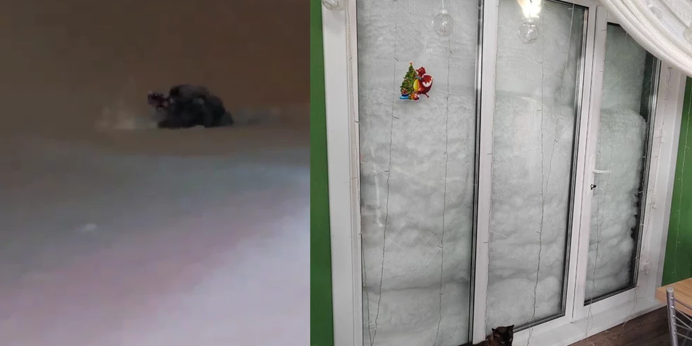 ЧС на Сахалине: люди передвигаются по грудь в снегу, сугробы выросли до второго этажа