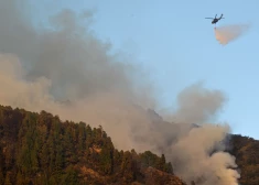 Kolumbijā mežu ugunsgrēkos nopostīti vairāk nekā 17 000 hektāru teritorijas