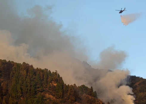 Kolumbijā mežu ugunsgrēkos nopostīti vairāk nekā 17 000 hektāru teritorijas
