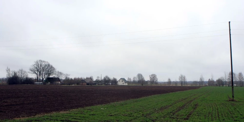 Būs vai nebūs Latvijai šogad savi graudi? Zemnieki komentē kailsala ietekmi