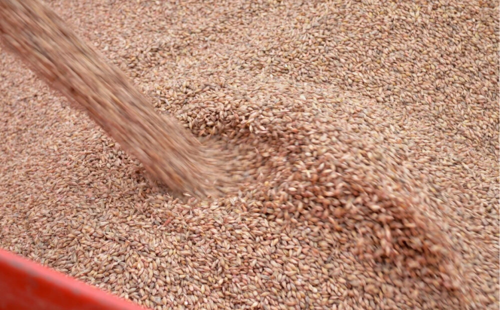 Neraugoties uz Krievijas graudu importa aizliegumu Latvijā, neliegs to tranzītu uz citām ES valstīm