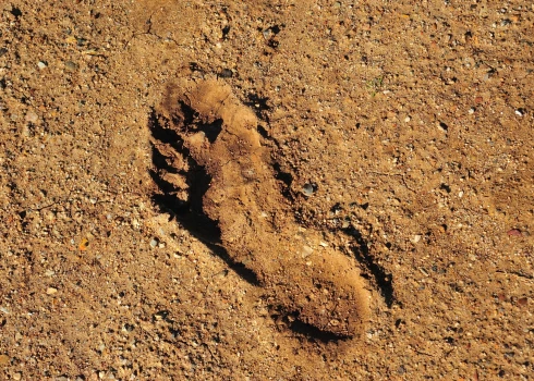 Marokas pludmalē arheologi atklāj neskartus 90 000 gadu senus cilvēku pēdu nospiedumus