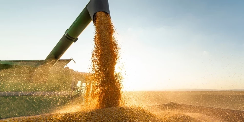 Запрет на импорт российского зерна - лишь символический шаг