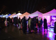 Jelgavā atklāts 25. Starptautiskais ledus skulptūru festivāls (foto: Juris Rozenbergs)