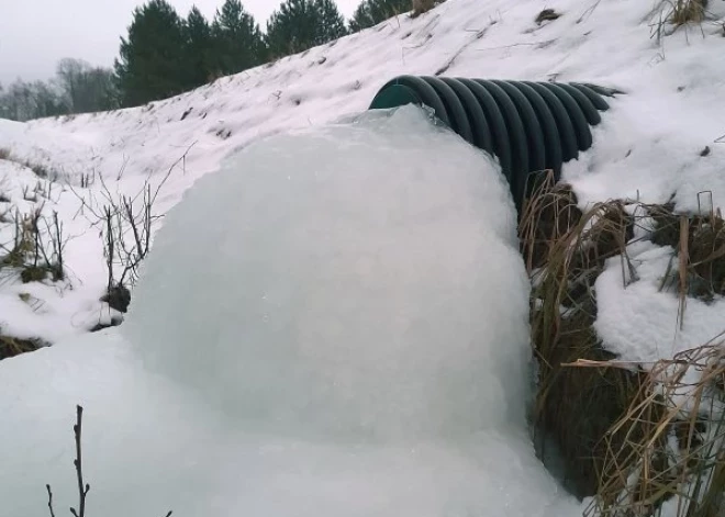 Caurules galā pie meža ceļa izveidojies interesants vizuāls veidojums