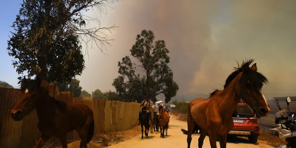 "Briesmīgs vējš un dedzinošs karstums" - mežu ugunsgrēkos Čīlē arvien jauni upuri; apdraudēti arī tūristu iecienīti rajoni