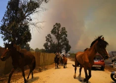 "Briesmīgs vējš un dedzinošs karstums" - mežu ugunsgrēkos Čīlē arvien jauni upuri; apdraudēti arī tūristu iecienīti rajoni