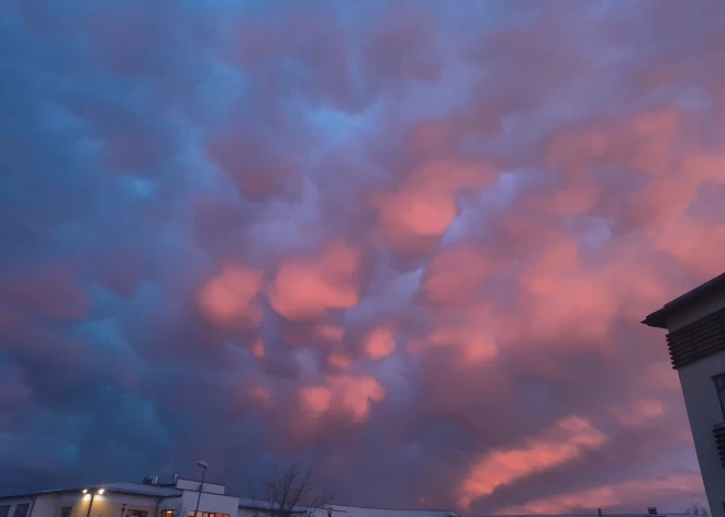 Tesmeņveidīgie jeb mammatus mākoņi Mārupes pusē 5. februāra rītā. 