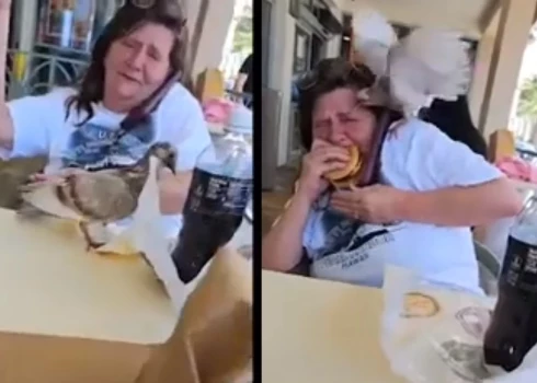 ВИДЕО: голубь напал на женщину и попытался отобрать ее еду из McDonald's